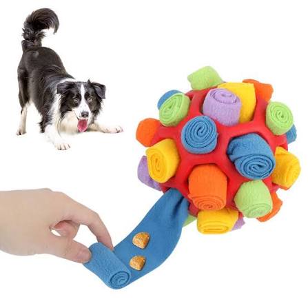 Pet Eğitici Oyuncaklar